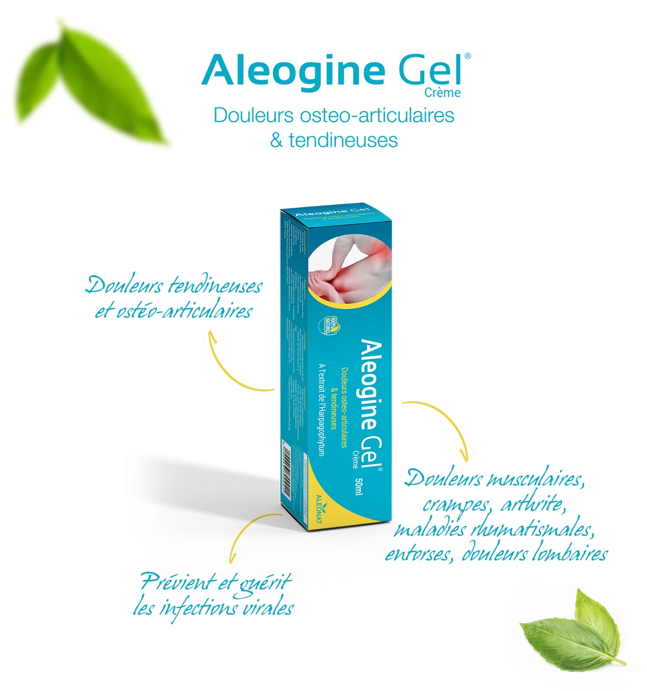 ALEOGINE GEL TUB/50